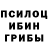 Псилоцибиновые грибы ЛСД nikson 04
