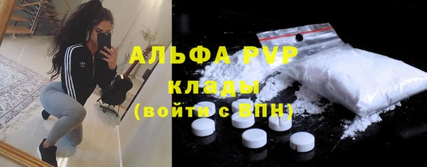 индика Бугульма