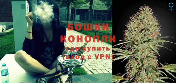 индика Бугульма