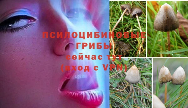 первитин Бородино