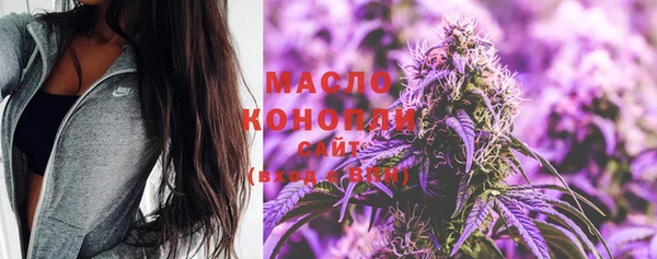 молекула духа Бронницы