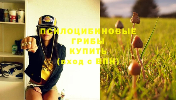 индика Бугульма