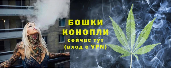 индика Бугульма