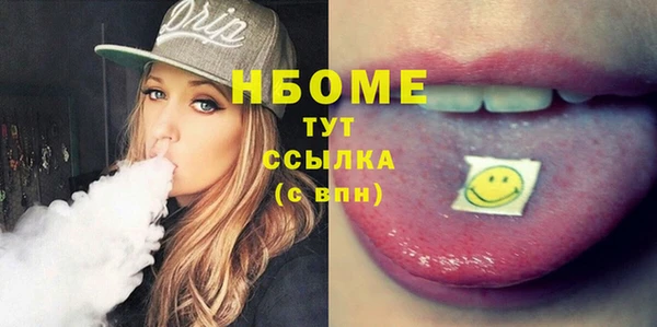 индика Бугульма