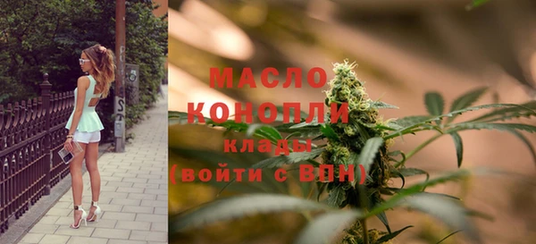 молекула духа Бронницы