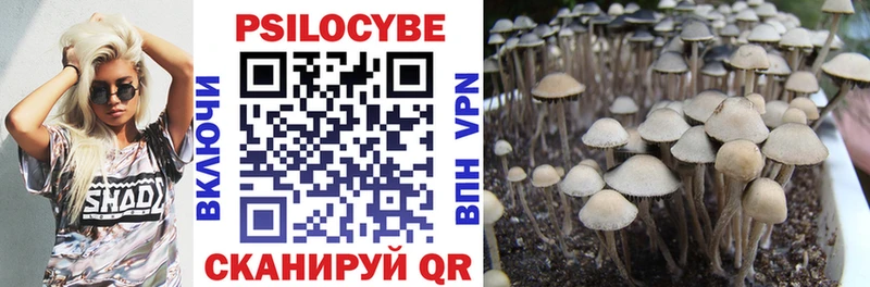 купить наркотик  Горнозаводск  Псилоцибиновые грибы прущие грибы 