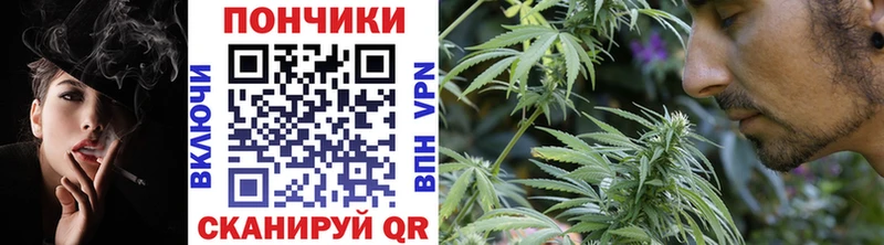 Шишки марихуана планчик  Горнозаводск 